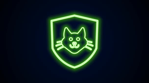Linea neon incandescente Icona dell'assicurazione sanitaria animale isolata su sfondo nero. Concetto di protezione degli animali. Impronta zampa cane o gatto. Animazione grafica 4K Video motion — Video Stock