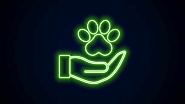 Linea neon luminosa Mani con l'icona dell'impronta animale isolata su sfondo nero. Zampa di animale domestico nel cuore. Con amore agli animali. Animazione grafica 4K Video motion — Video Stock