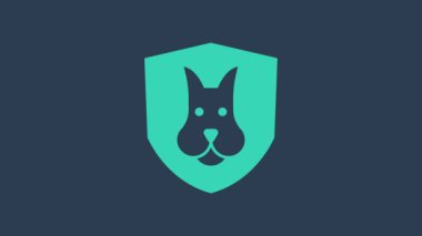 Turkuaz Hayvan Sağlık Sigortası ikonu mavi arka planda izole edildi. Hayvan koruma konsepti. Köpek ya da kedi pençesi izi. 4K Video hareketli grafik canlandırması