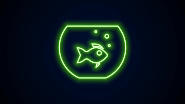 Linha de néon brilhante Aquário com ícone de peixe isolado no fundo preto. Aquário de vidro redondo. Aquário para casa e animais de estimação. Animação gráfica em movimento de vídeo 4K — Vídeo de Stock
