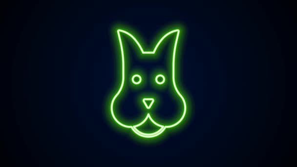 Linea neon incandescente Icona del cane isolata su sfondo nero. Animazione grafica 4K Video motion — Video Stock