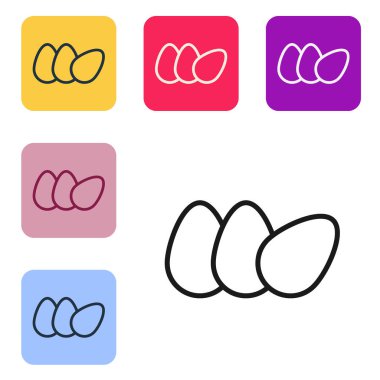 Siyah çizgi tavuk yumurtası simgesi beyaz arkaplanda izole edilmiş. Renkli kare düğmelerle simgeleri ayarla. Vektör