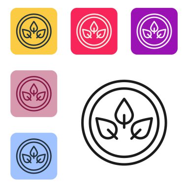 Siyah çizgi vegan beslenme ikonu beyaz arka planda izole edilmiş. Organik, biyolojik, ekolojik sembol. Vejetaryen, et yok, laktozsuz, sağlıklı, taze ve şiddet içermeyen yiyecekler. Renkli kare düğmelerle simgeleri ayarla. Vektör