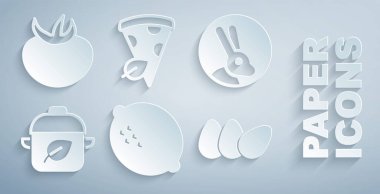 Limon, tavşan, vejetaryen yemek diyeti, tavuk yumurtası, pizza dilimi ve domates ikonu. Vektör