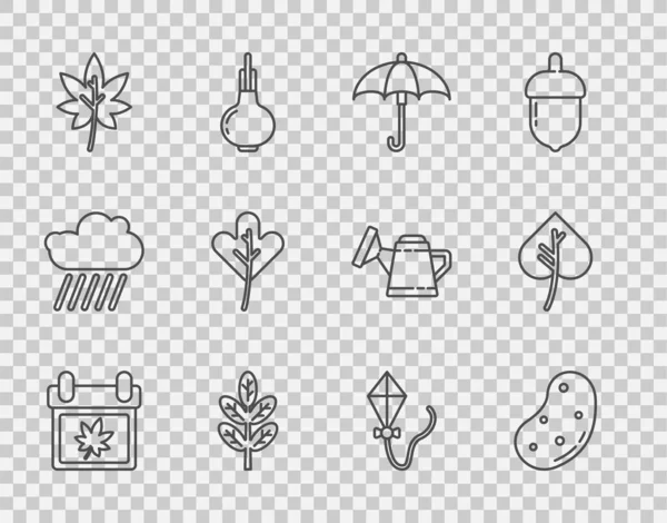 集秋叶、土豆、伞形、叶子或、风筝和图标为一体的系列日历.B.病媒 — 图库矢量图片