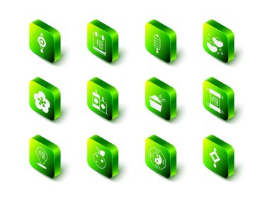 Çin Yeni Yılı, kağıt fener, fal kurabiyesi, çubuklu buz kasesi, Yin Yang sembolü ve şeftali nektarin ikonu. Vektör