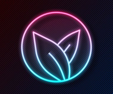 Parlayan neon hattı çay yaprağı simgesi siyah arkaplanda izole edildi. Çay yaprakları. Vektör