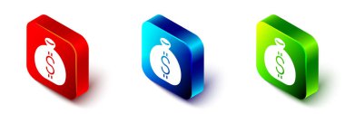 Isometric Para Çantası simgesi beyaz arkaplanda izole edildi. Dolar ya da USD sembolü. Nakit bankacılık tabelası. Kırmızı, mavi ve yeşil kare düğme. Vektör
