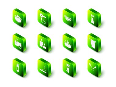 Saç kurutma makinesi, Citrus meyvesi, şampuan şişesi, askıda havlu, örgü iğneleri, küvet, krem veya losyon kozmetik tüpü ve kokulu spa çubuğu ikonu. Vektör