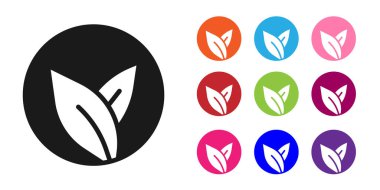 Beyaz arkaplanda siyah çay yaprağı simgesi izole edildi. Çay yaprakları. Simgeleri renklendirin. Vektör