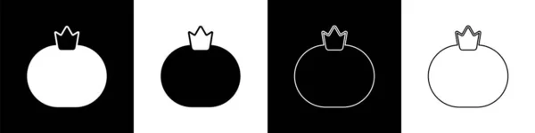 Nastavit ikonu rajčat izolované na černobílém pozadí. Vektor — Stockový vektor