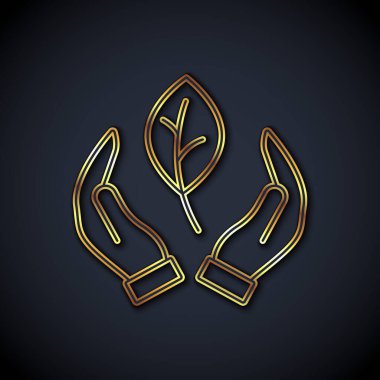 Gold line Hand hold a leaf of the plant icon isolated on black background. Care nature. Leaf shoots with environmental protection. Vector