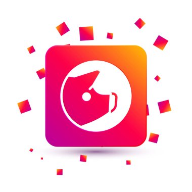 Beyaz Domuz simgesi beyaz arkaplanda izole edildi. Hayvan sembolü. Kare renk düğmesi. Vektör.