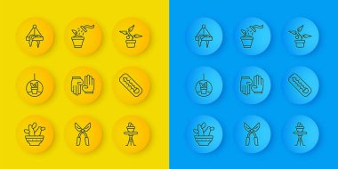 Kaktüs peyote in pot bitki asılı lastik eldiven masa Meteoroloji termometresi ve Spreyin bitki ikonu. Vektör.