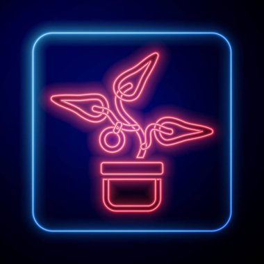 Esrar ikonunda parlayan neon bitkisi siyah arka planda izole edildi. Tencerede yetişen bir bitki. Saksı bitkisi işareti. Vektör.