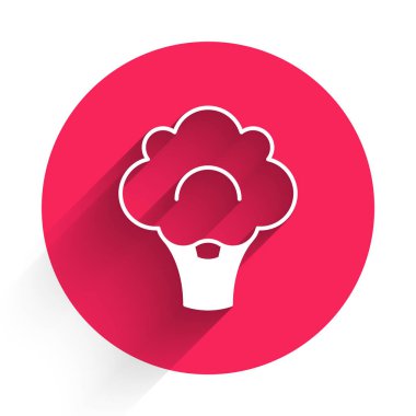 Beyaz Brokoli simgesi uzun gölge arkaplanı ile izole edilmiş. Kırmızı daire düğmesi. Vektör.