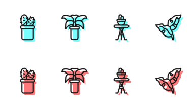 Kabı masaya koyun, kaktüs peyoti, egzotik tropikal bitki ve tropikal yaprak ikonu. Vektör.