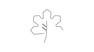 Siyah çizgi Yaprak simgesi beyaz arkaplanda izole edildi. İşaret bırakıyor. Taze doğal ürün sembolü. 4K Video hareketli grafik canlandırması.