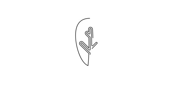 黑线叶子图标孤立在白色背景上 叶子的标志 新鲜的自然产品符号 4K视频运动图形动画 — 图库视频影像