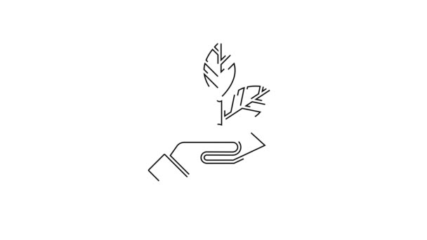 黑线植物手握环保图标 与白色背景隔离 种子和幼苗 种植树苗 生态概念 4K视频运动图形动画 — 图库视频影像