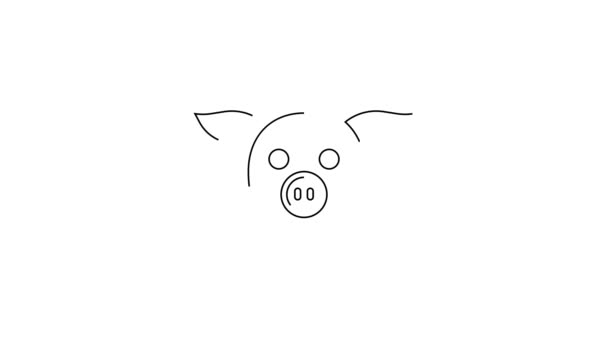 Černá Čára Pig Ikona Izolované Bílém Pozadí Zvířecí Symbol Grafická — Stock video
