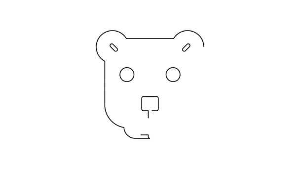 Черная Линия Медвежья Голова Значок Изолирован Белом Фоне Видеографическая Анимация — стоковое видео