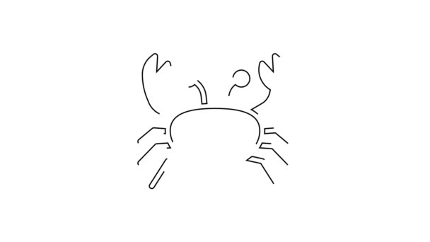 黑线蟹图标孤立在白色背景 4K视频运动图形动画 — 图库视频影像