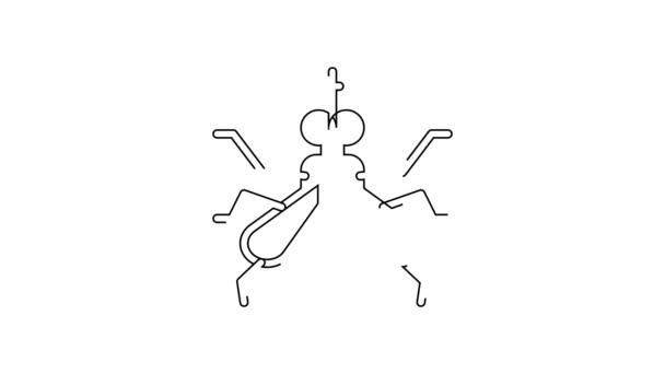 Black Line Mosquito Icon Isolated White Background Video Motion Graphic — Stock Video
