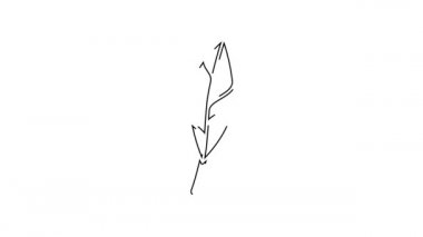 Siyah çizgi sihirli tüy ikonu beyaz arkaplanda izole edildi. 4K Video hareketli grafik canlandırması.