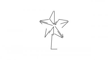 Siyah çizgi Noel yıldızı simgesi beyaz arkaplanda izole edilmiş. Mutlu Noeller ve mutlu yıllar. 4K Video hareketli grafik canlandırması.