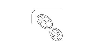 Siyah çizgi insan ayak izi ayakkabı ikonu beyaz arkaplanda izole edilmiş. Ayakkabı tabanı. 4K Video hareketli grafik canlandırması.