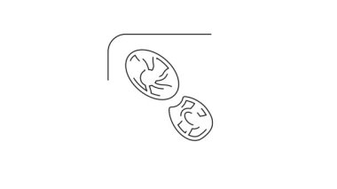 Siyah çizgi insan ayak izi ayakkabı ikonu beyaz arkaplanda izole edilmiş. Ayakkabı tabanı. 4K Video hareketli grafik canlandırması.