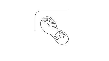 Siyah çizgi insan ayak izi ayakkabı ikonu beyaz arkaplanda izole edilmiş. Ayakkabı tabanı. 4K Video hareketli grafik canlandırması.