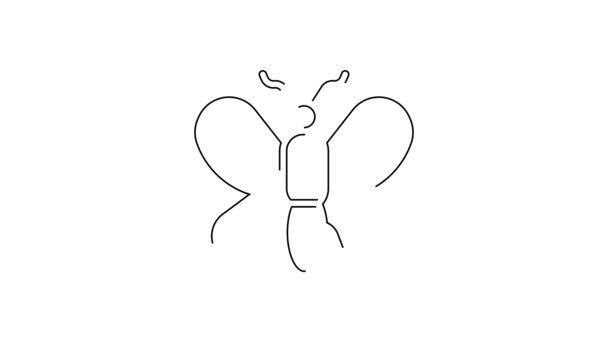Línea Negra Icono Mariposa Aislado Sobre Fondo Blanco Animación Gráfica — Vídeo de stock