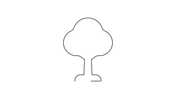 Icona Black Line Tree Isolata Sfondo Bianco Simbolo Della Foresta — Video Stock