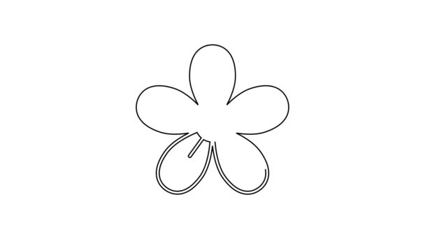 黑线花卉图标孤立在白色背景 4K视频运动图形动画 — 图库视频影像