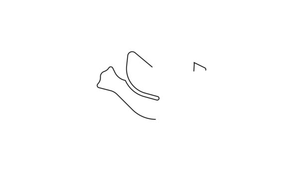 黑线鸽子图标孤立在白色背景 4K视频运动图形动画 — 图库视频影像
