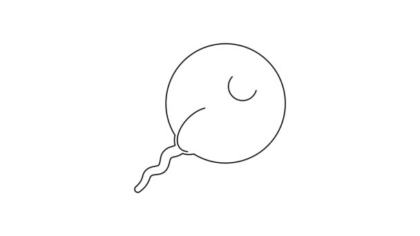 Černá Čára Sperm Ikona Izolované Bílém Pozadí Grafická Animace Pohybu — Stock video