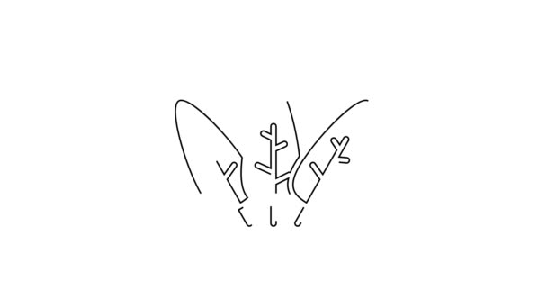 黑线叶子图标孤立在白色背景上 叶子的标志 新鲜的自然产品符号 4K视频运动图形动画 — 图库视频影像