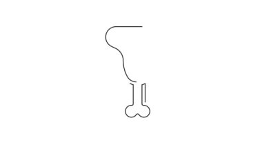 Siyah çizgi tavuk budu ikonu beyaz arkaplanda izole edildi. Tavuk budu. 4K Video hareketli grafik canlandırması.