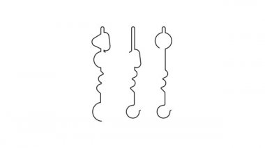 Siyah çizgi ızgara şiş kebap beyaz arka planda izole edilmiş şiş çubuk ikonu. Şiş çubukta et kebabı. Izgara etle piknik. 4K Video hareketli grafik canlandırması.