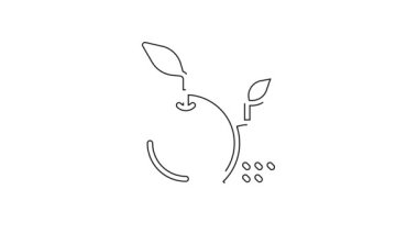 Beyaz arkaplanda siyah çizgi meyve simgesi izole edildi. 4K Video hareketli grafik canlandırması.