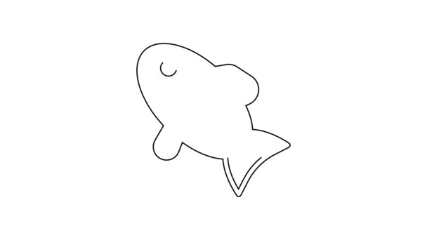 Black Line Fish Icon Isolated White Background Video Motion Graphic — Stock Video