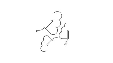 Beyaz arkaplanda siyah çizgi meşe yaprağı simgesi izole edildi. 4K Video hareketli grafik canlandırması.