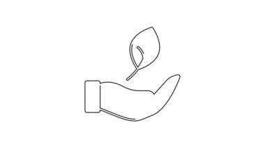 Siyah çizgili El, beyaz arkaplanda izole edilmiş bitki simgesinin bir yaprağını tutuyor. Doğayı koru. Yaprak, çevre korumasıyla çekiliyor. 4K Video hareketli grafik canlandırması.