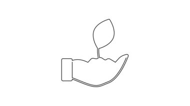 Çevre koruma ikonunun elindeki siyah çizgi bitkisi beyaz arka planda izole edildi. Tohum ve tohum. Fidan dikiyorum. 4K Video hareketli grafik canlandırması.