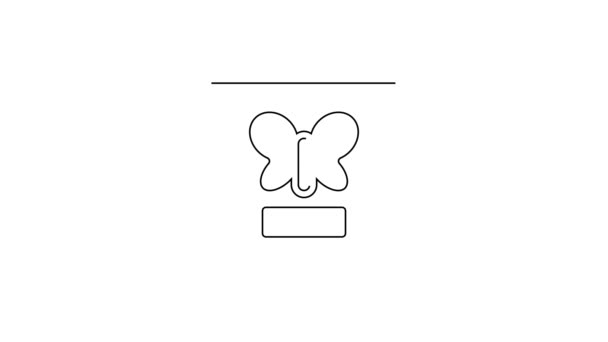 黒い線白い背景に隔離されたフレームアイコンで蝶 ハーバリウム 4Kビデオモーショングラフィックアニメーション — ストック動画