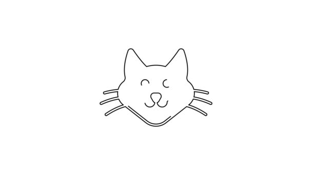 Schwarze Linie Cat Symbol Isoliert Auf Weißem Hintergrund Video Motion — Stockvideo