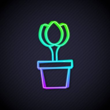 Siyah arkaplanda izole edilmiş tencere ikonunda parlayan neon çizgisi çiçek lalesi. Tencerede yetişen bir bitki. Saksı bitkisi işareti. Vektör.