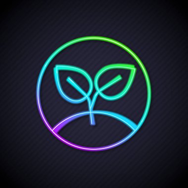 Parlayan neon çizgisi simgesi siyah arkaplanda izole edildi. Tohum ve tohum. İşaret bırakıyor. Yaprak doğası. Vektör.